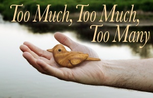 Too Much, Too Much, Too Many By Meghan Kennedy